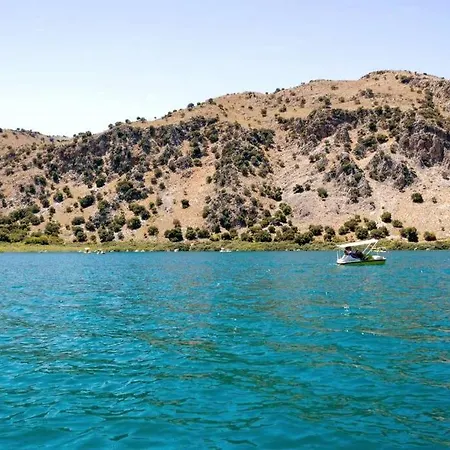 Vagelia *